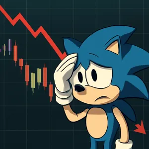 Sonic Looks to New Leadership After 97% Crash in S Token