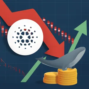 Cardano's Slump Triggers Whale Accumulation Activity