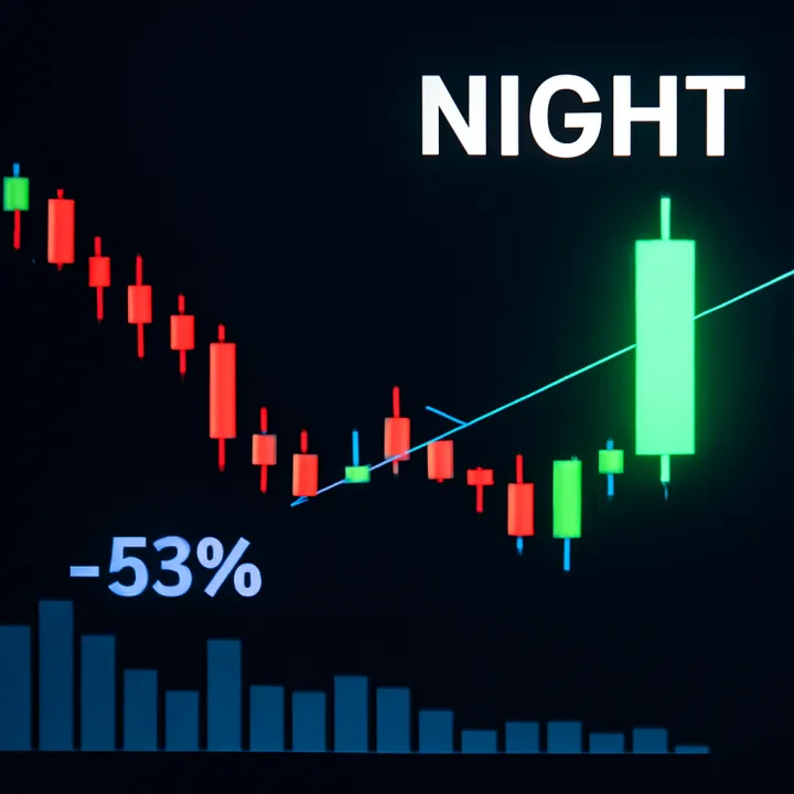 NIGHT Price Rises Despite 53% Drop in Trading Volume
