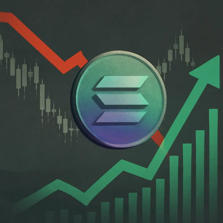 Solana Shows Strong Fundamentals Amid Market Challenges